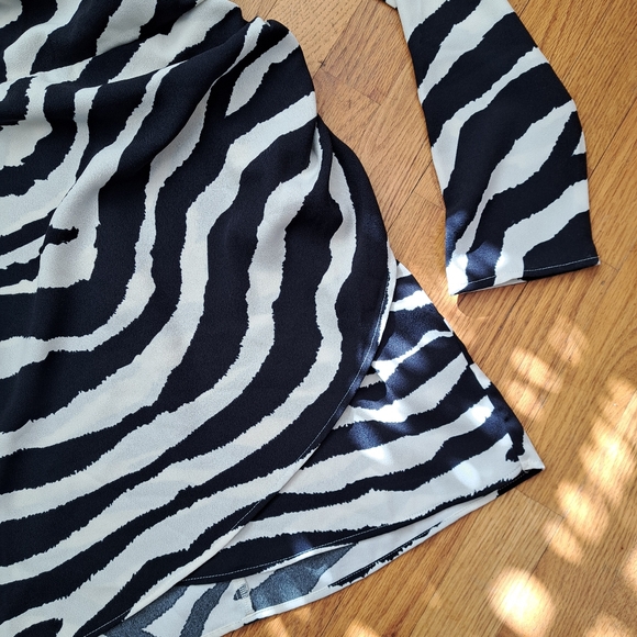 H&M Zebra Print Long Sleeve Dress Sz Small - Picture 3 of 7